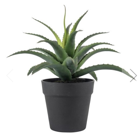 Grand Illusions Faux Aloe in Pot