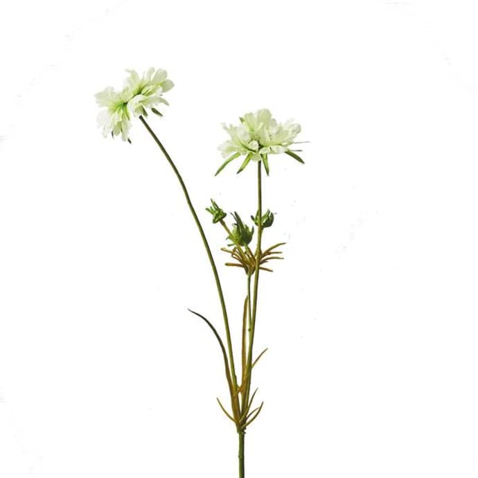 Abigail Ahern Cream Scabious Flower Stem