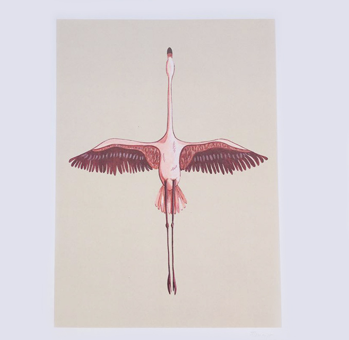 Sabrizzo Flamingo Sabrizzo Illustration Print