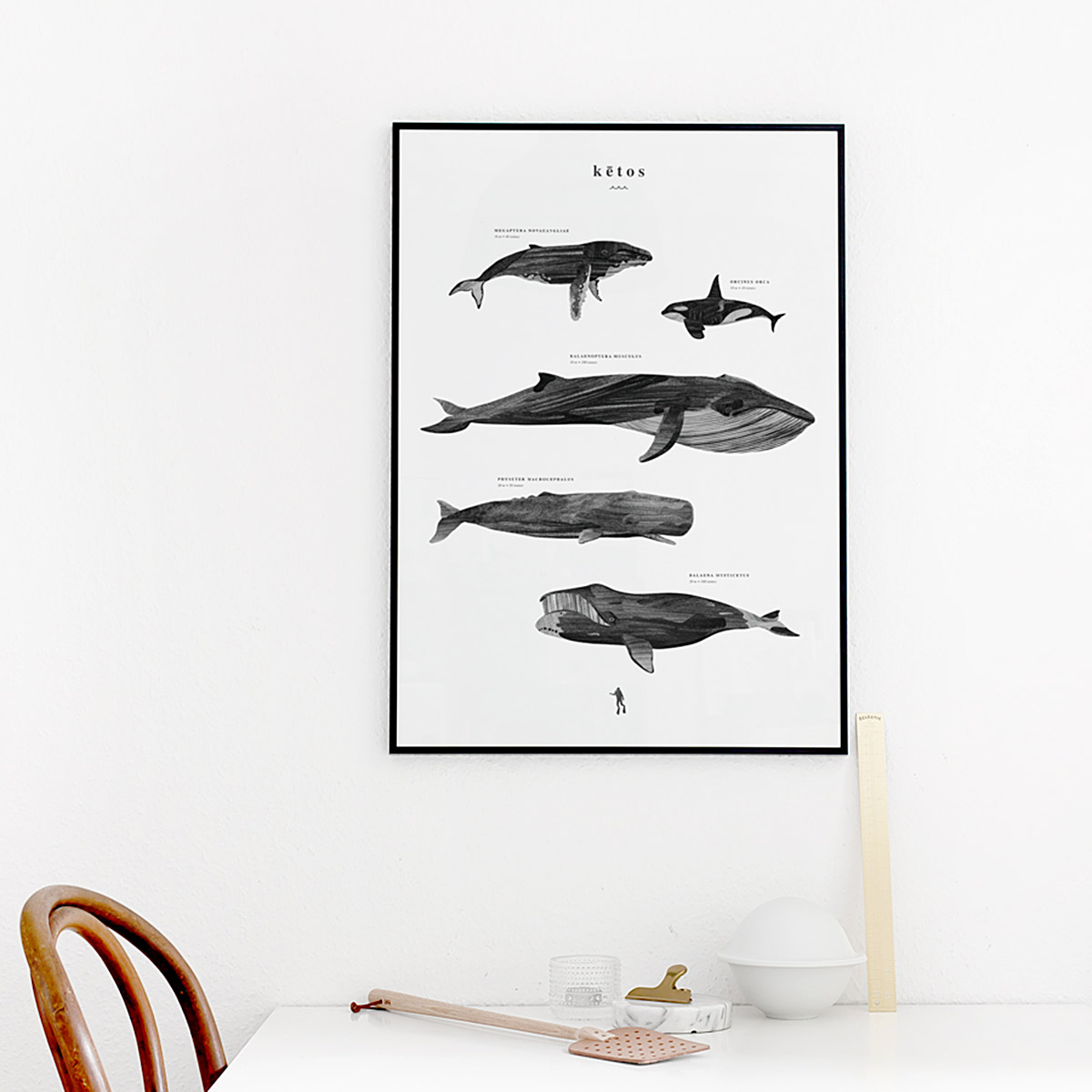 Cocolapine Whales poster Ketos, black and white