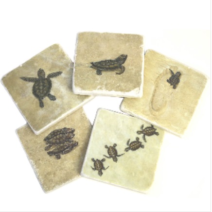 Jenny Blanc Marble Turtle Coaster Set of 6