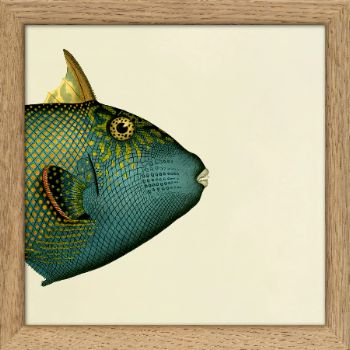 thedybdahl-co-no-sq101-half-fish-print-with-oak-frame