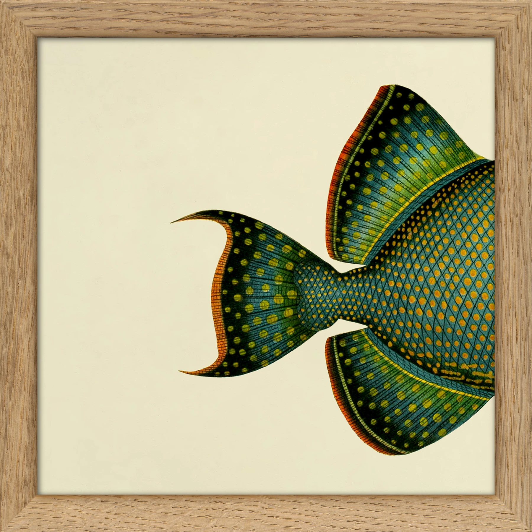 TheDybdahl Co. No SQ100 Half Fish Print with Oak Frame