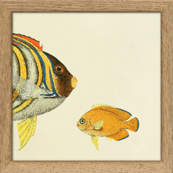 thedybdahl-co-no-sq103-half-fish-print-with-oak-frame