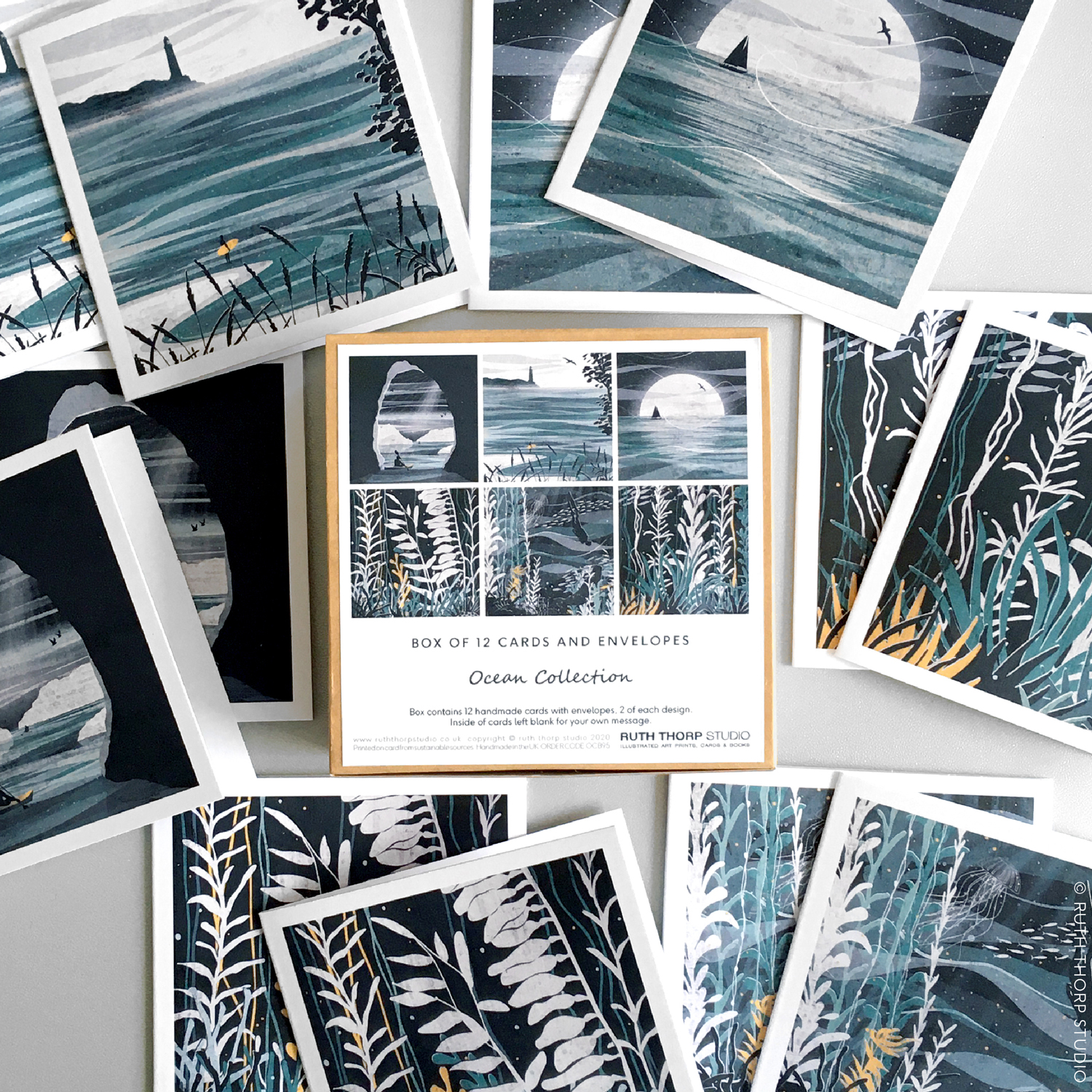 Ruth Thorp Studio Ocean Collection Box of 12 Cards and Envelopes