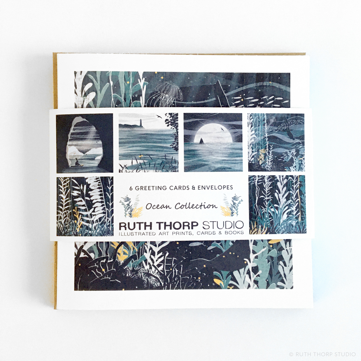 Ruth Thorp Studio Ocean Series Pack of 6 Greeting Cards