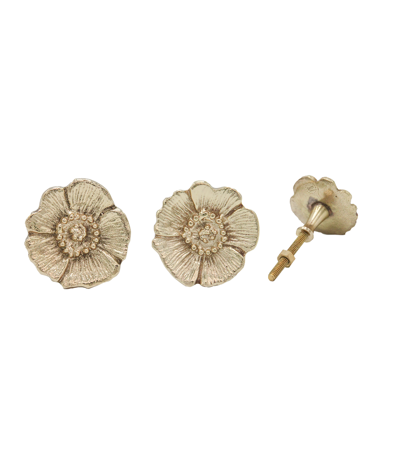 Doing Goods Set of 2 Gold Shiny Mia Poppy Knob