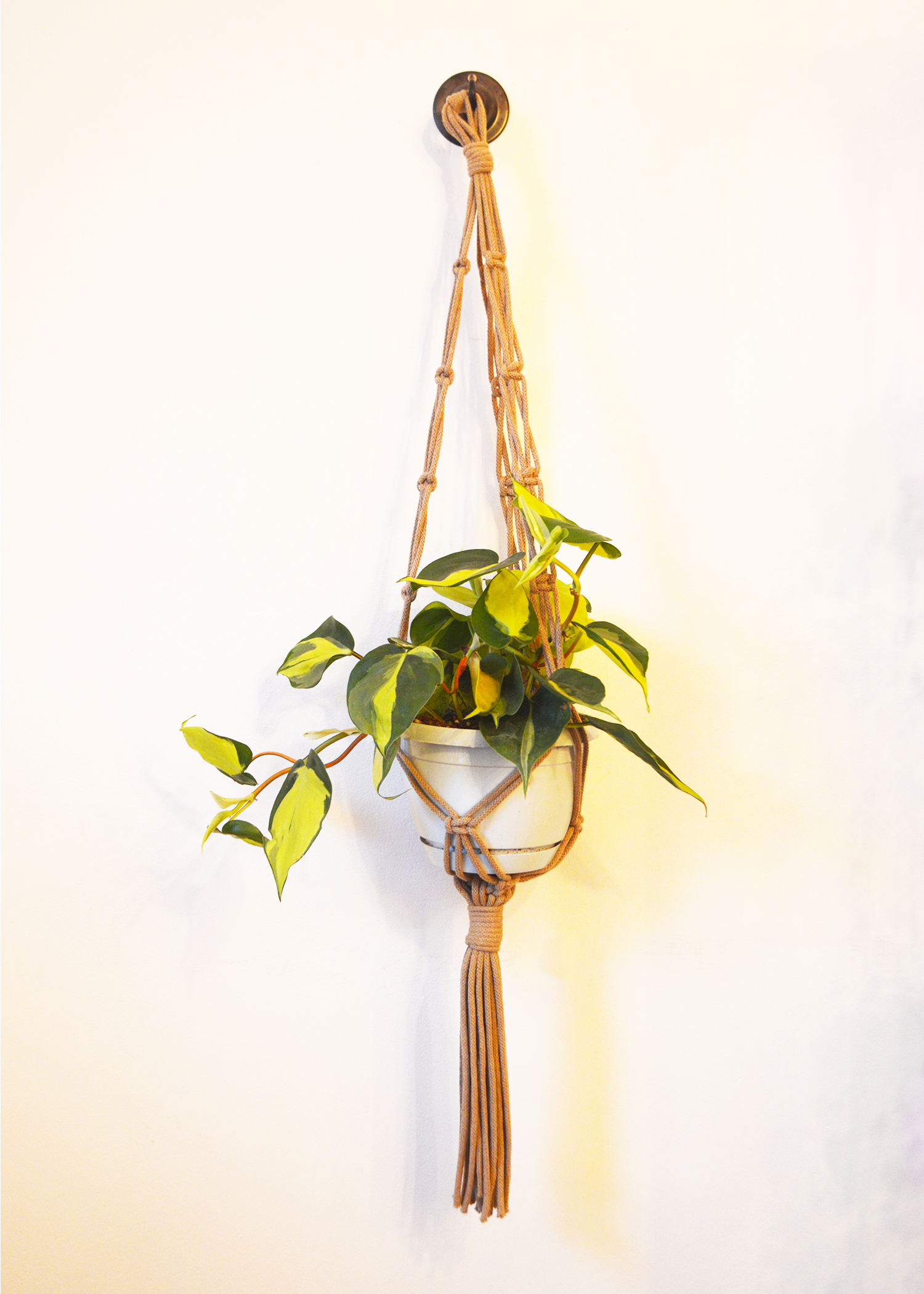 Cuemars Sustainable Cotton Macrame Plant Hanger Coffee