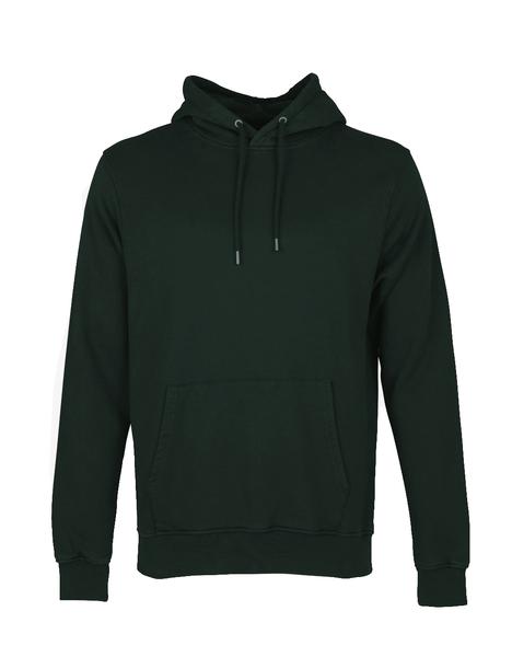 Colorful Standard Hood Hunter Green