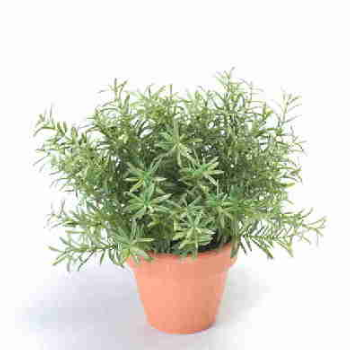 Dröm Collection Artificial plant 20x20cm with clay pot 