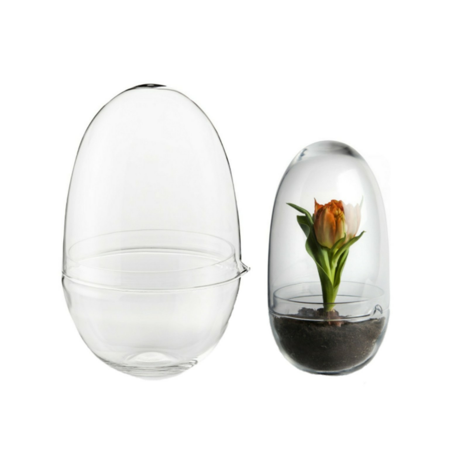 Design House Stockholm  Set of 2 Grow Greenhouse Bell Jars