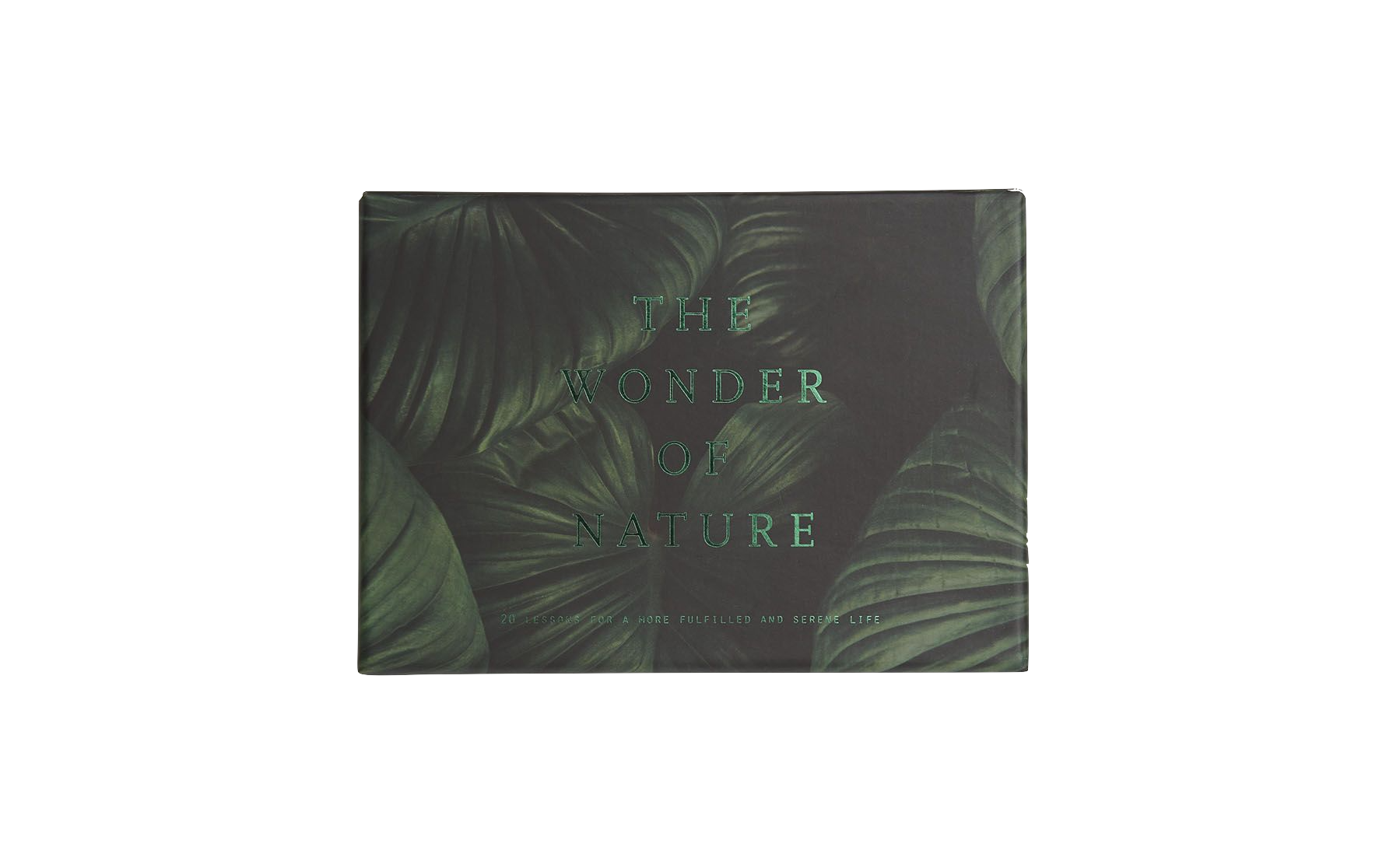 The School of Life The Wonder of Nature cards