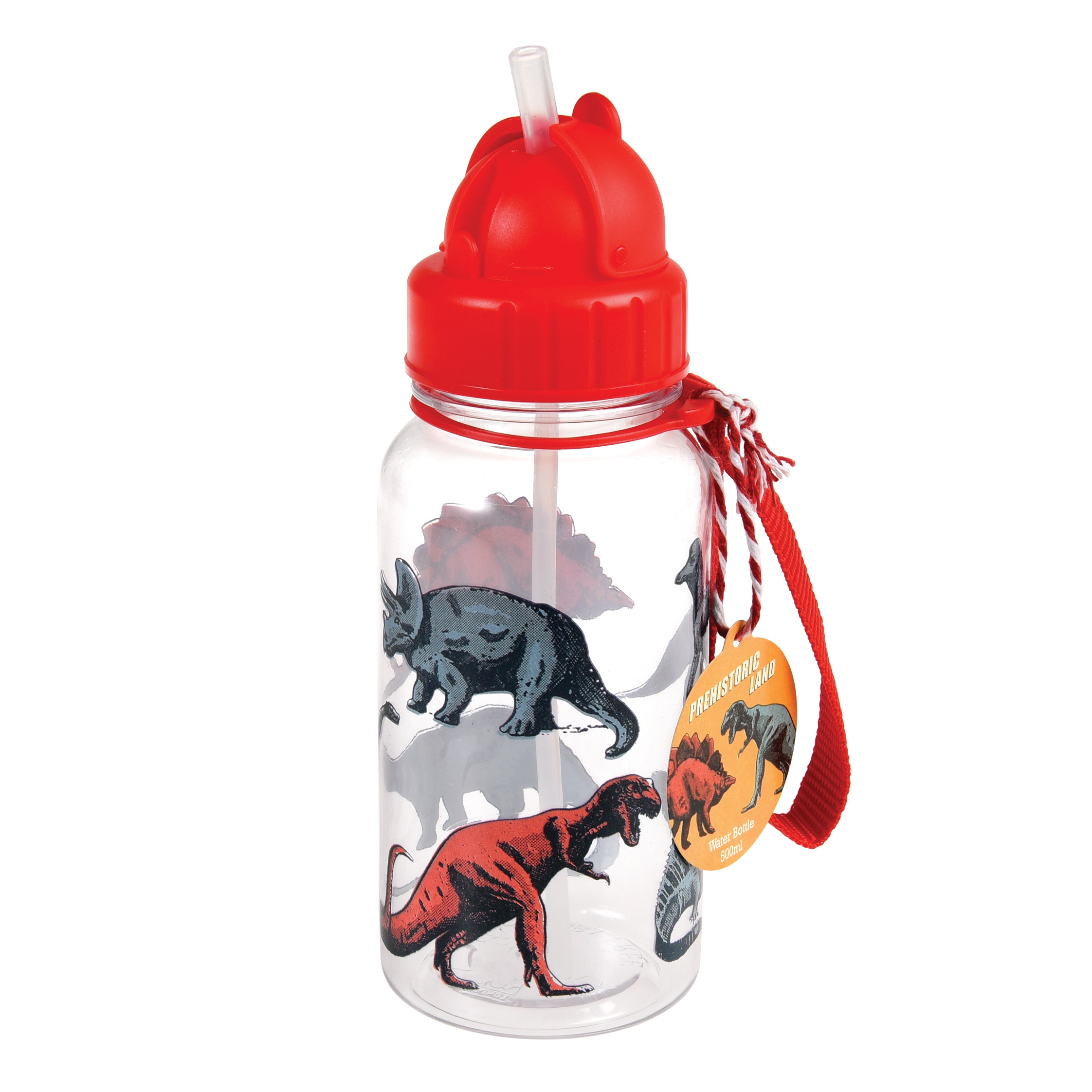 Rex Intl 500ml Prehistoric Land Water Bottle