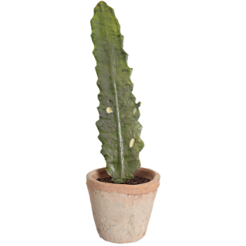 Dröm Collection Artificial cactus with earthenware pot 12xh38 cm