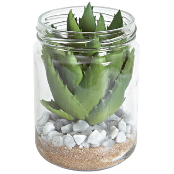 drom-collection-artificial-cactus-in-glass-container-with-stone-base-8xh12-cm