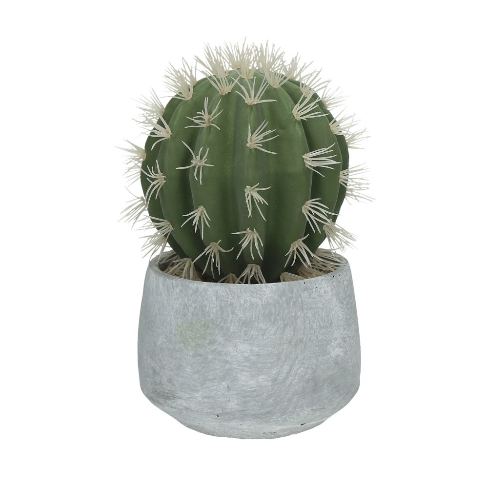Pomax Artificial Cactus in cement pot, H 18,5 cm 