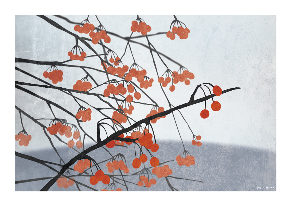 Ruth Thorp Studio A4 Red Berries - Winter Garden Art Print