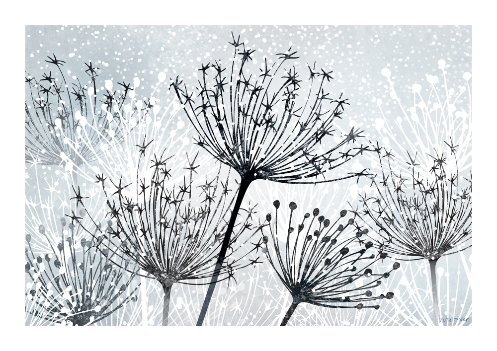 Ruth Thorp Studio A3 Seedhead Art Print