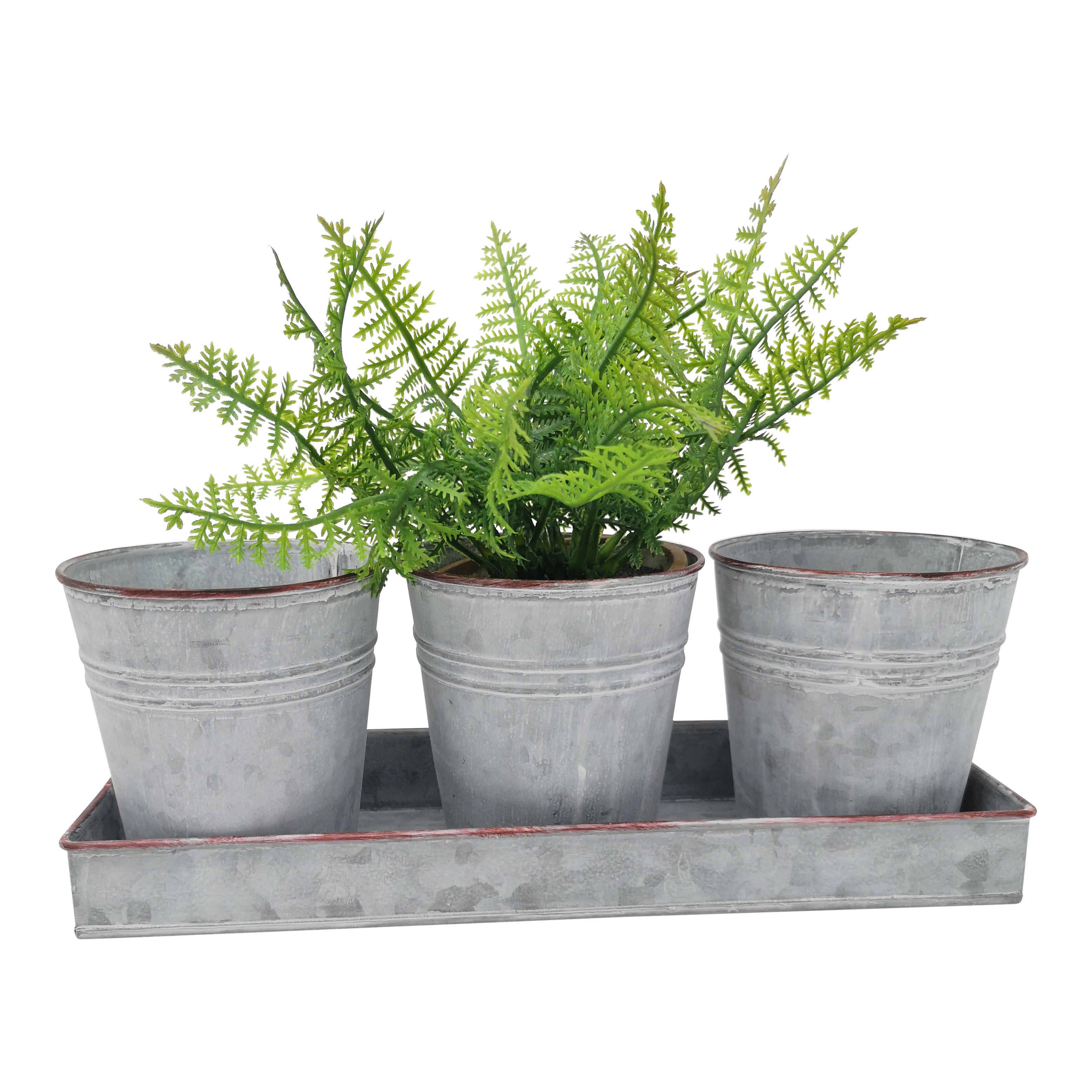 Casa Verde Zinc Tray with 3 Pots