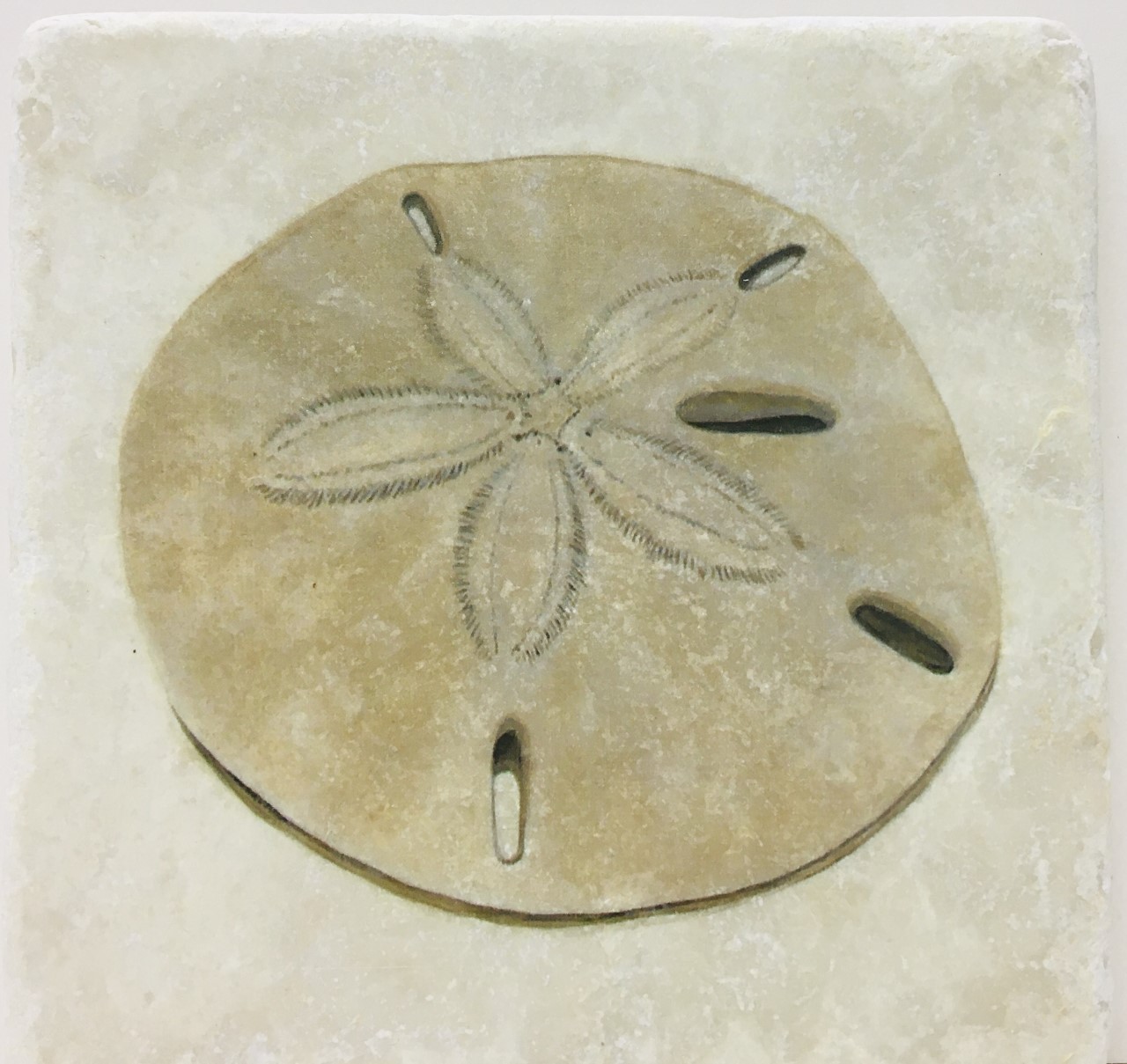 Jenny Blanc Exclusive Coaster - Sand Dollar Italian Marble 