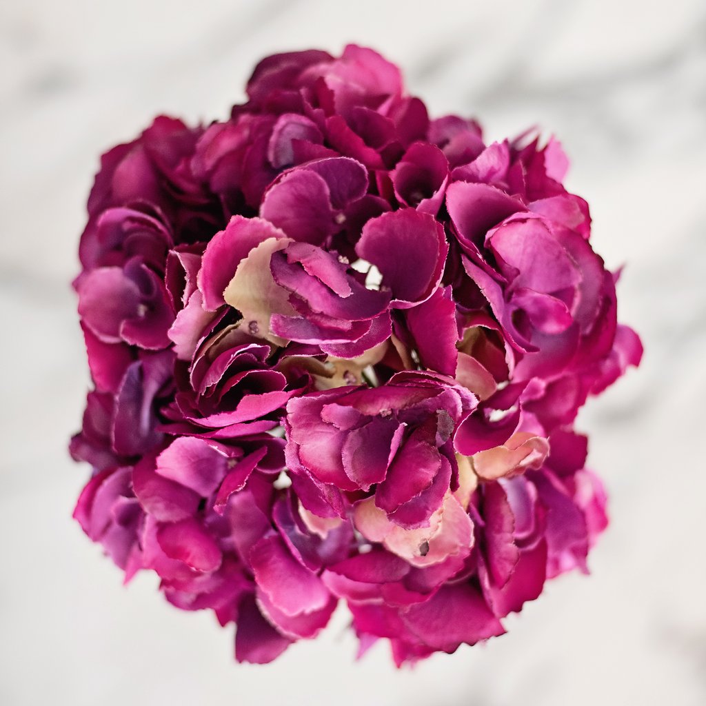 Or & Wonder Collection Hydrangea Fuchsia Pink 52cm Faux Stem