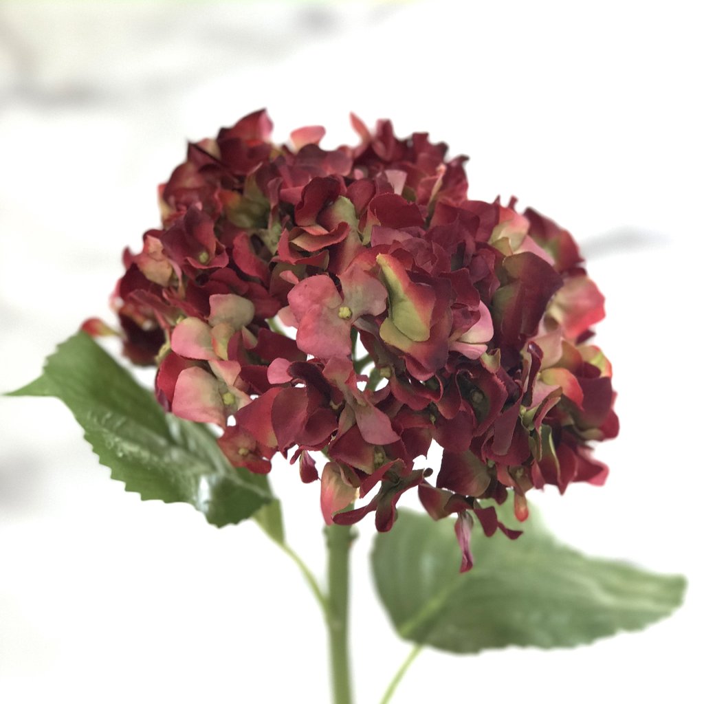 Or & Wonder Collection Hydrangea Red Dried Faux Stem