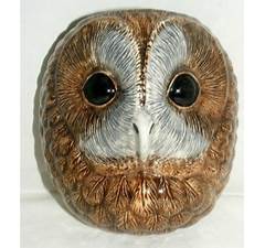 Quail Ceramics Tawny Owl Wall Vase