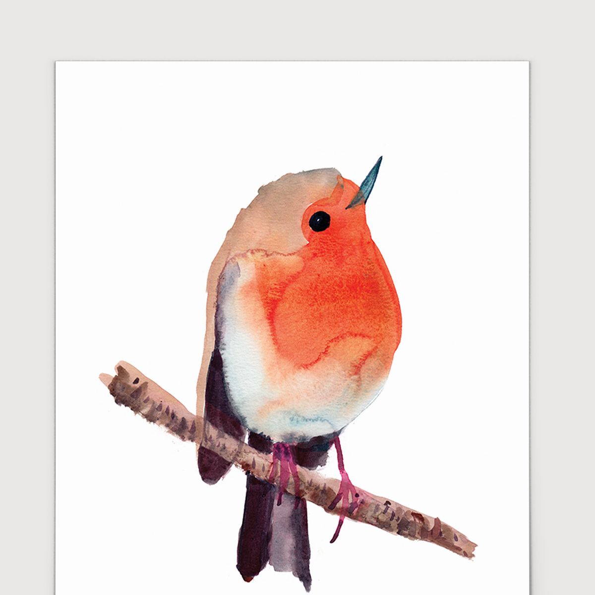 Rosie Webb  Robin A4 Art Print