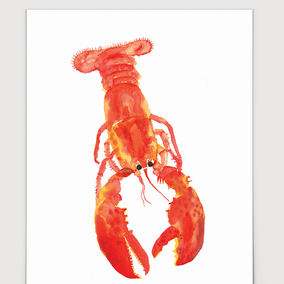 Rosie Webb  Lobster A4 Art Print