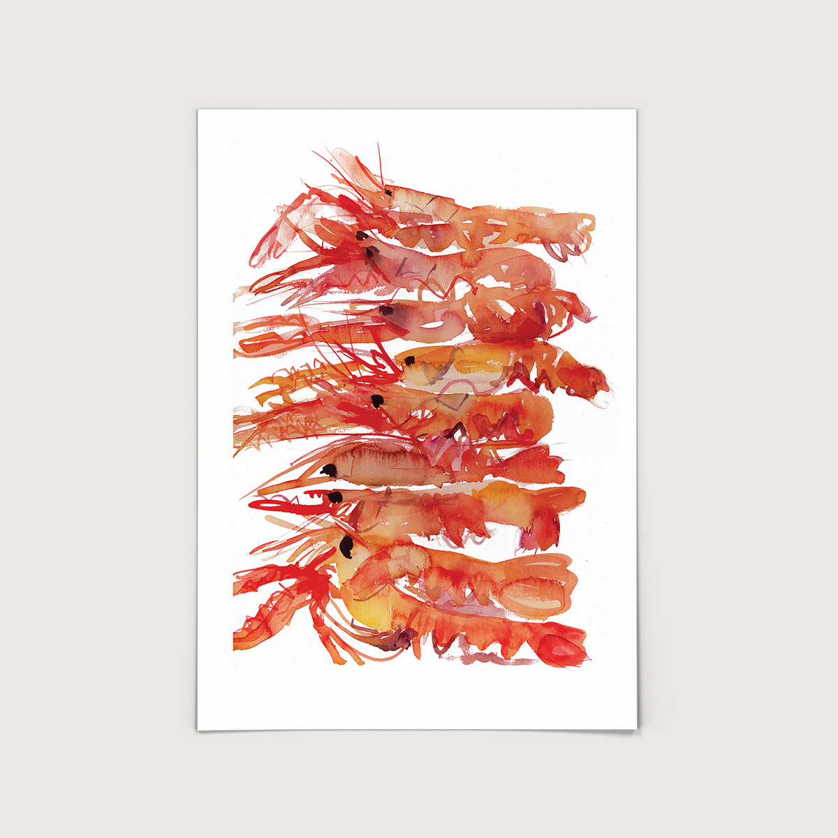 Rosie Webb  Langoustines A4 Art Print