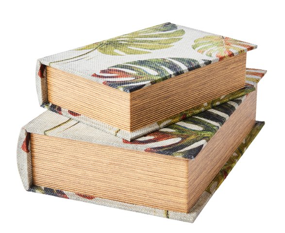 Affari Small Monstera Secret Book Box