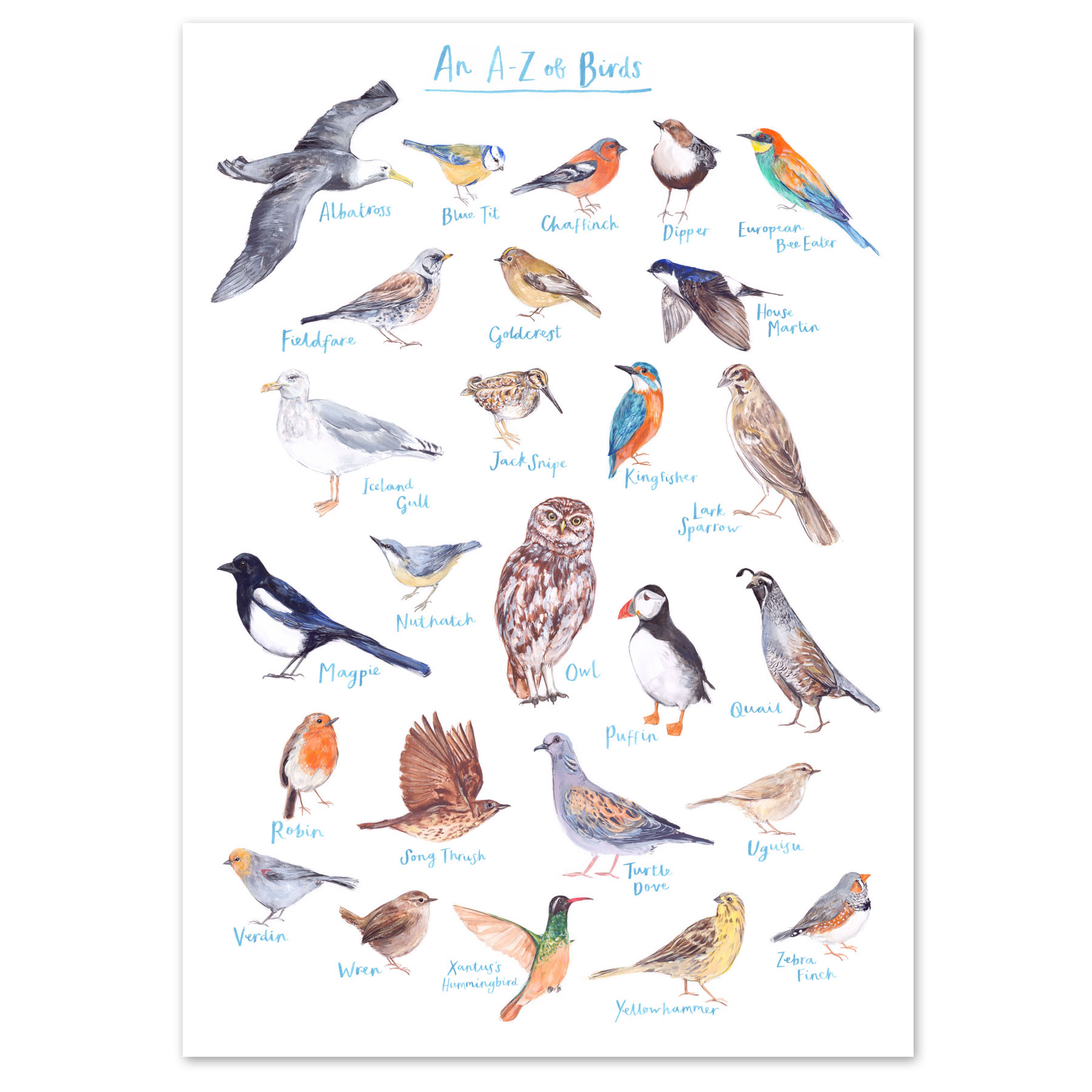 Fiona Purves A3 A To Z Of Birds Art Print