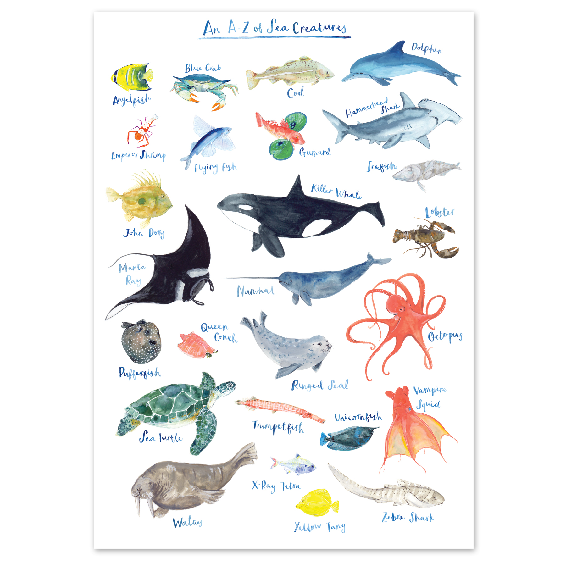 Fiona Purves A4 A to Z Of Sea Creatures Art Print