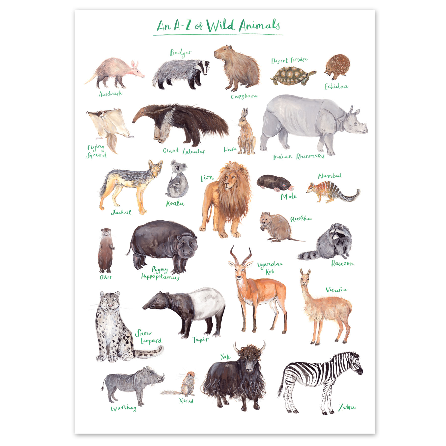 Fiona Purves A4 A to Z Of Wild Animals Art Print