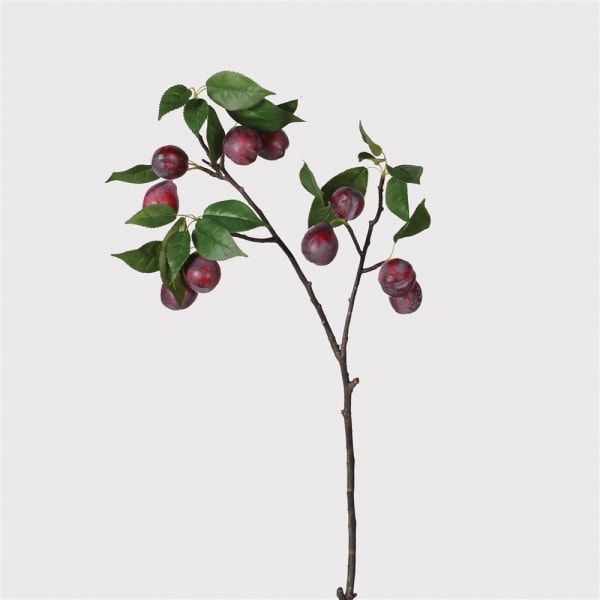 Or & Wonder Collection Plum Fruit Branch