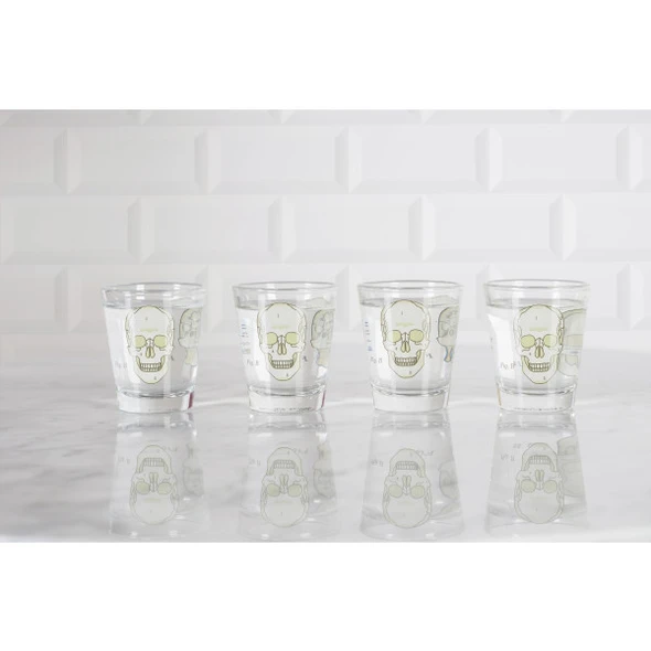 Cubic Set of 4 Anatomical Skull Mini Glasses