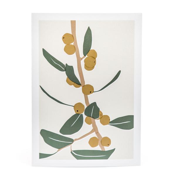 Travelling Basket Olive Branch Artist Print