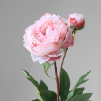 Or & Wonder Collection 54cm Soft Pink Real touch  Peony Faux Stem