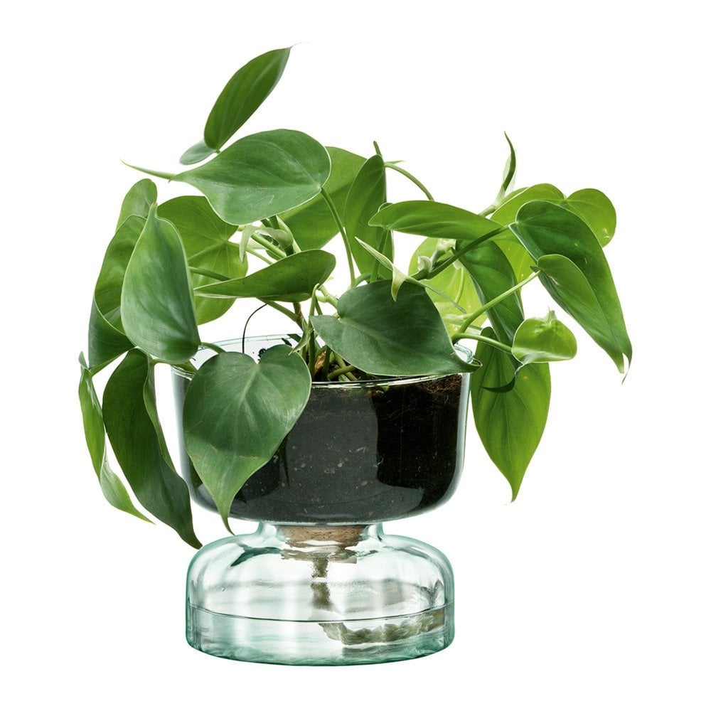 LSA International 13cm Canopy Self Watering Planter