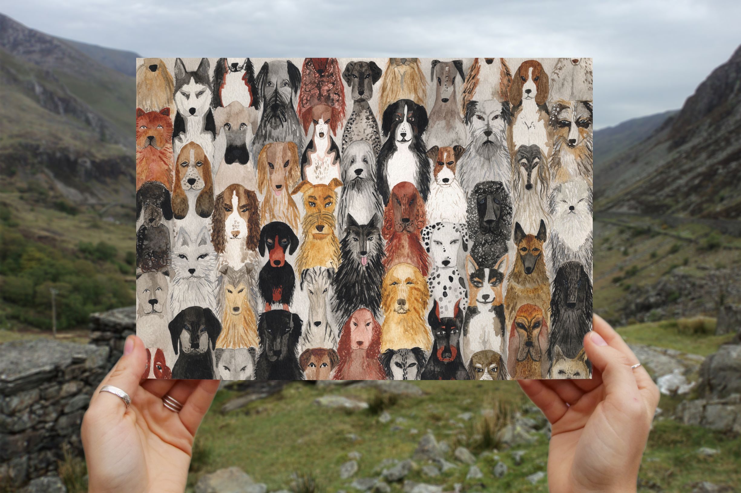 hattie-buckwell-dog-assembly-dog-breeds-a4-art-print