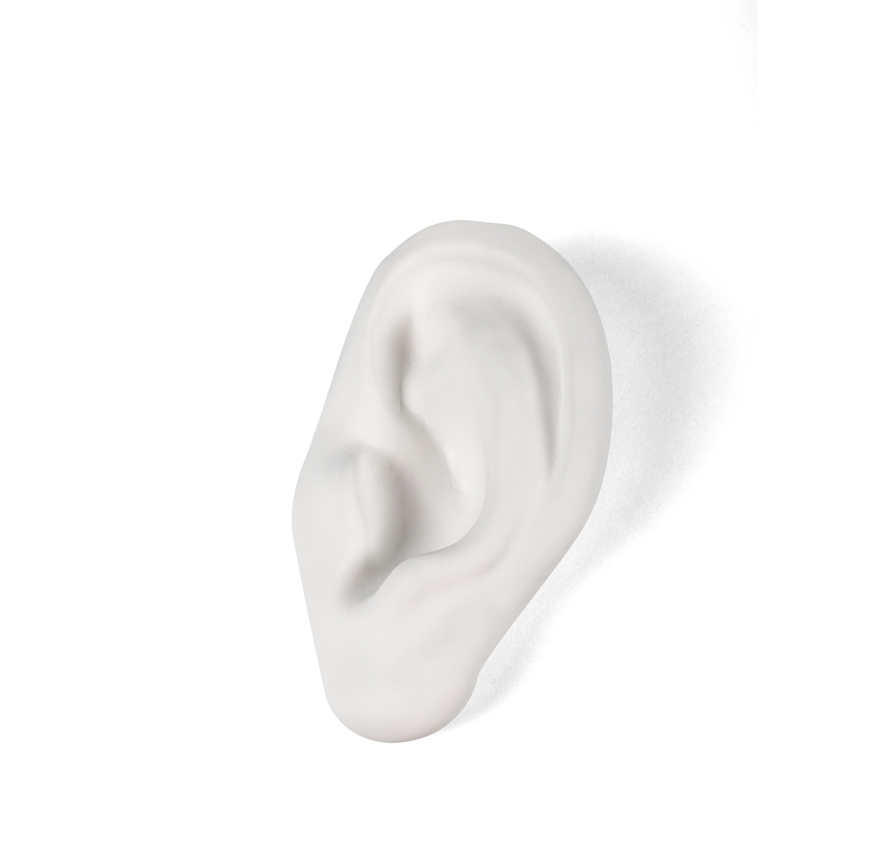 Seletti White Porcelain Ear Sculpture