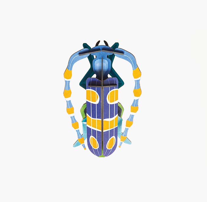 Studio Roof 3D Rosalia Beetle