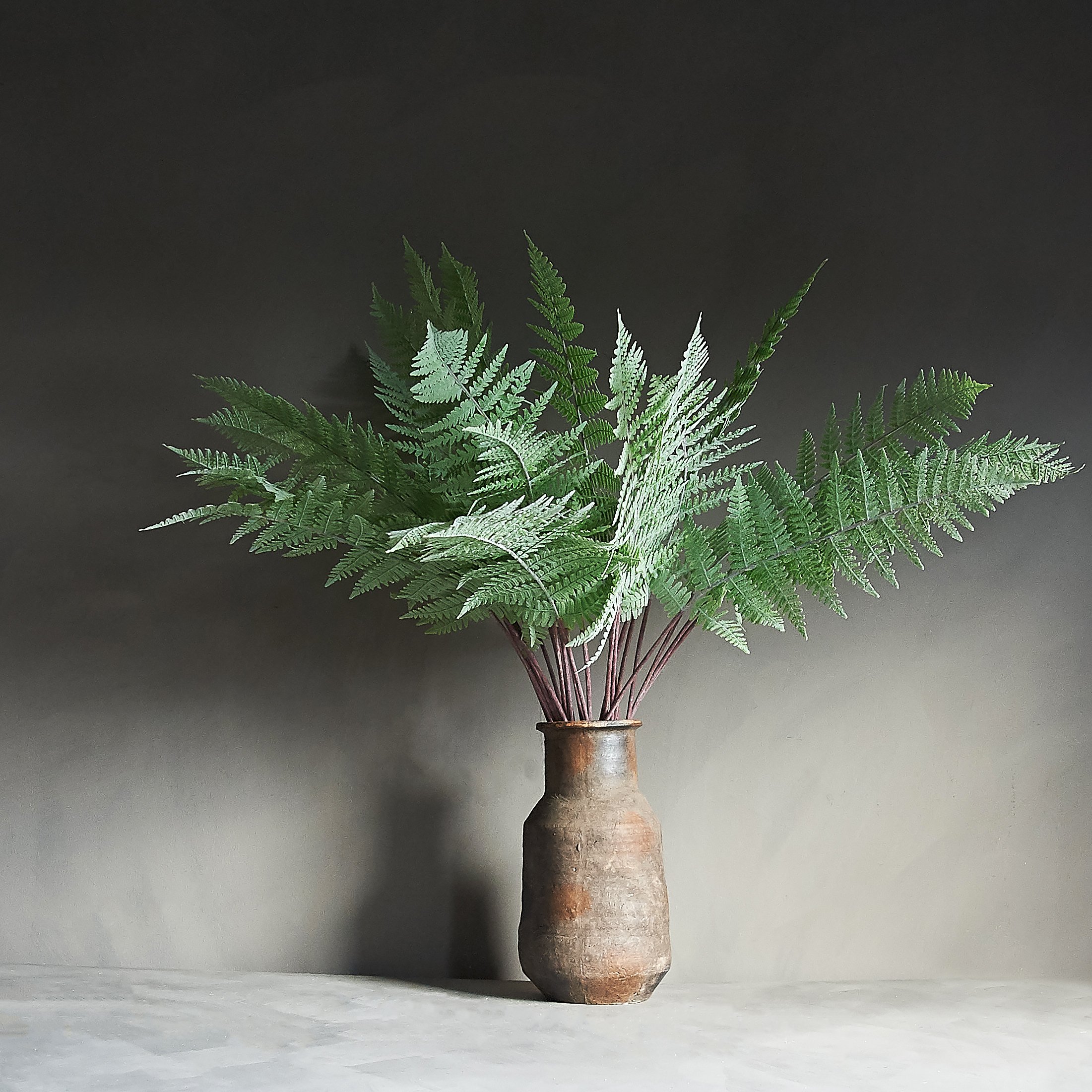 Abigail Ahern Fern Stem