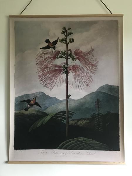 Maitri Canvas Wall Hanging Flowering Plant