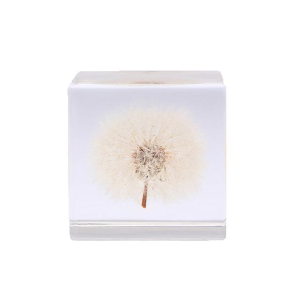 SOLA Dandelion Acrylic Cube Large