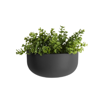 Present Time Black Wide Oval Ceramic Wall Planter