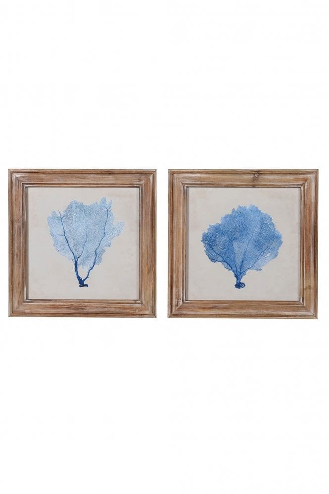 The Home Collection Set Of 2 Blue Coral Pictures