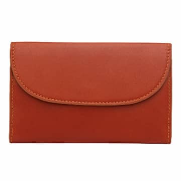 La Portegna Small Brown Lucia Purse