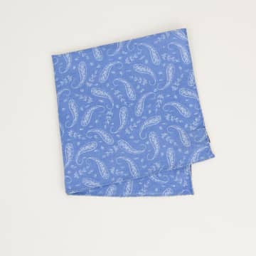 40 Colori Paisley Printed Cotton Pocket Square In Blue