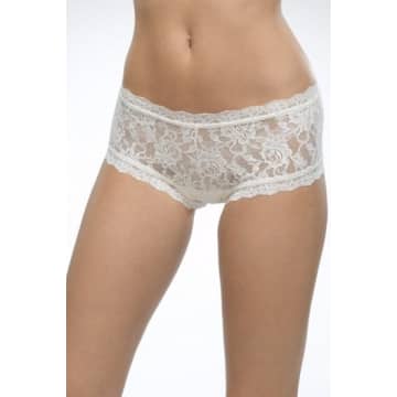 Hanky Panky In Ivory Signature Lace Boyshort In White